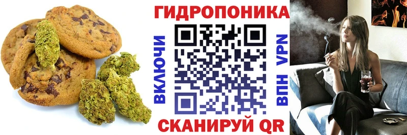 Купить закладки  Саянск  Canna-Cookies марихуана 