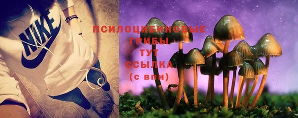 молекула духа Верхний Тагил