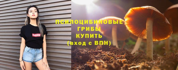 молекула духа Верхний Тагил