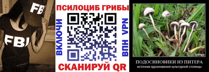 Псилоцибиновые грибы ЛСД Купить где Саянск